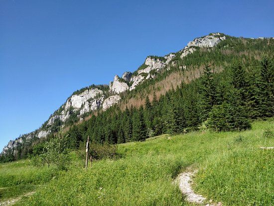 Narciarstwo